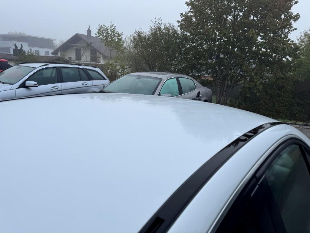 T13