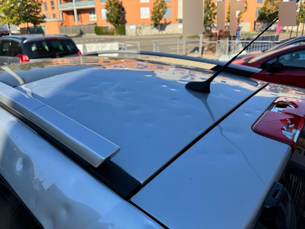 T19