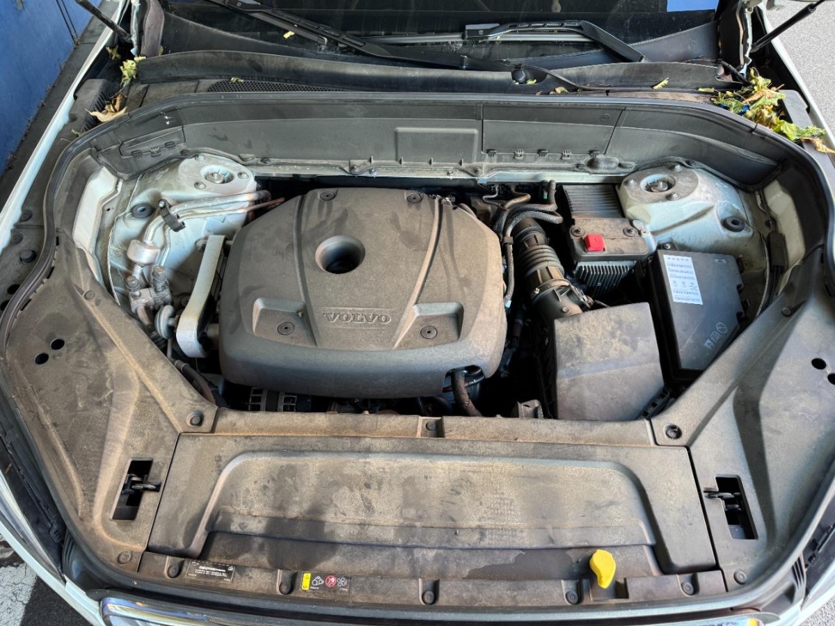 T12